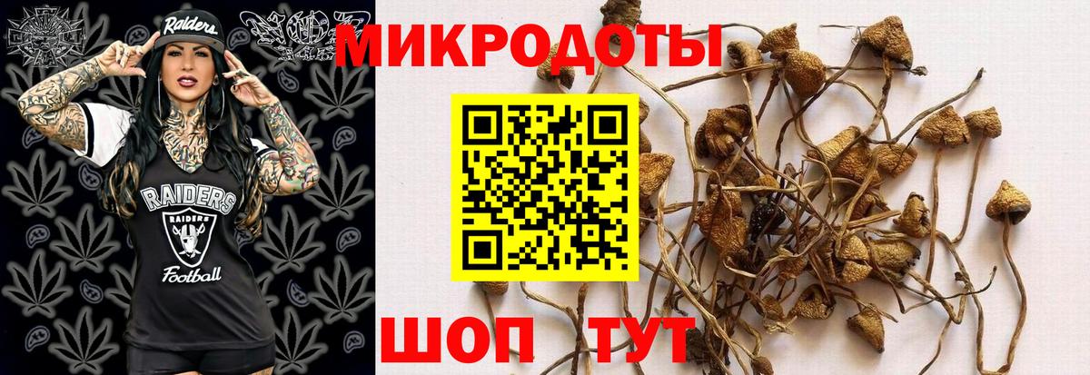 Псилоцибиновые грибы прущие грибы Великие Луки