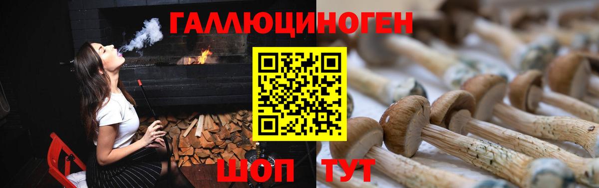 Галлюциногенные грибы Psilocybe  Вход с VPN  Великие Луки 